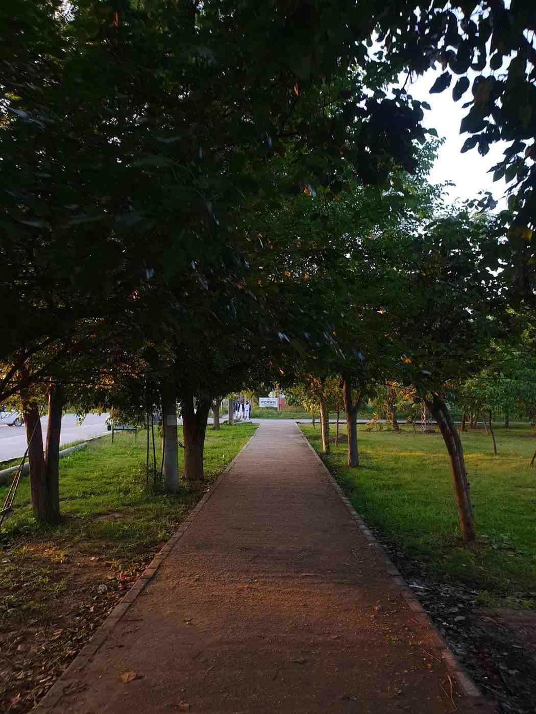 Photography 23