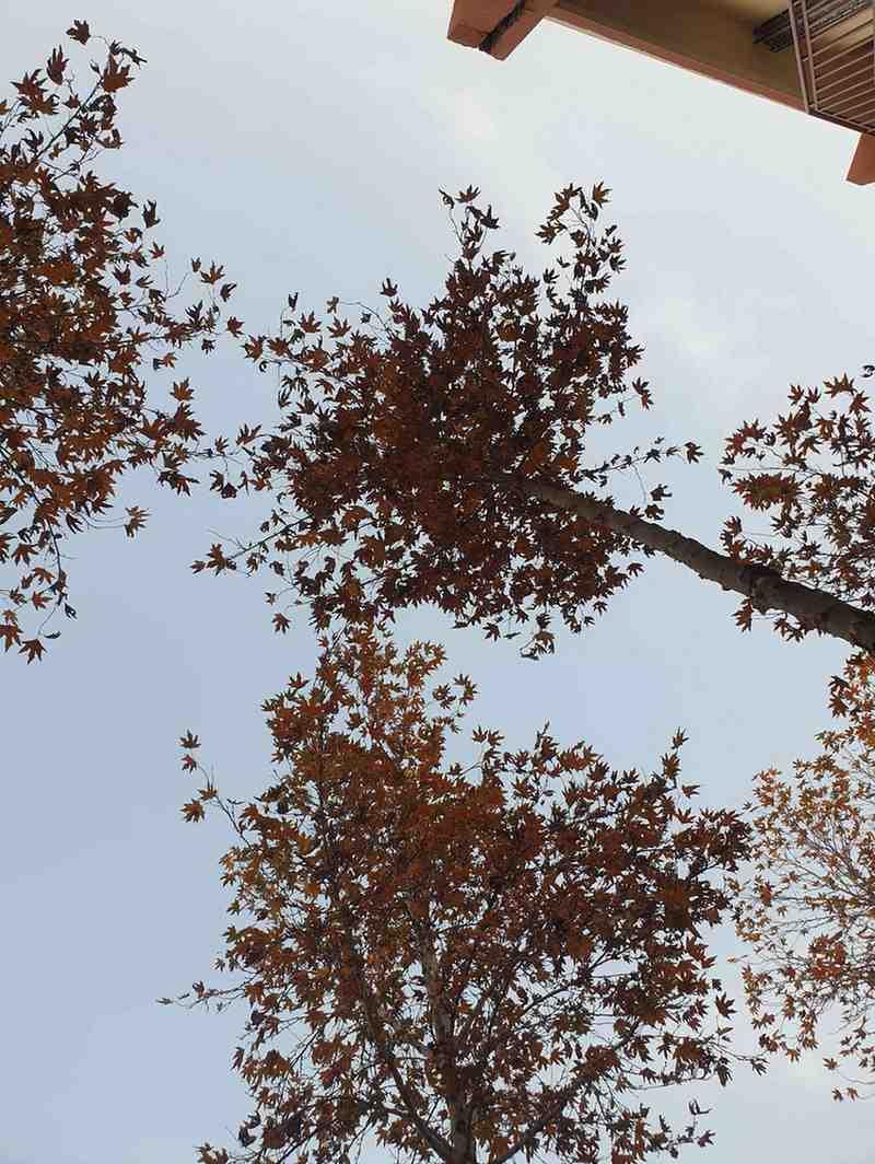 Photography 7